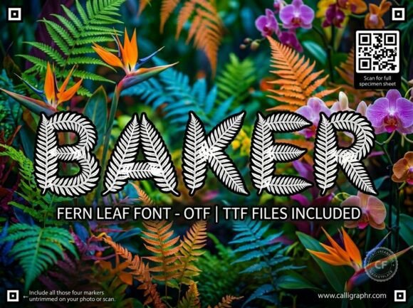 Baker: A Commanding and Artistic Display Font